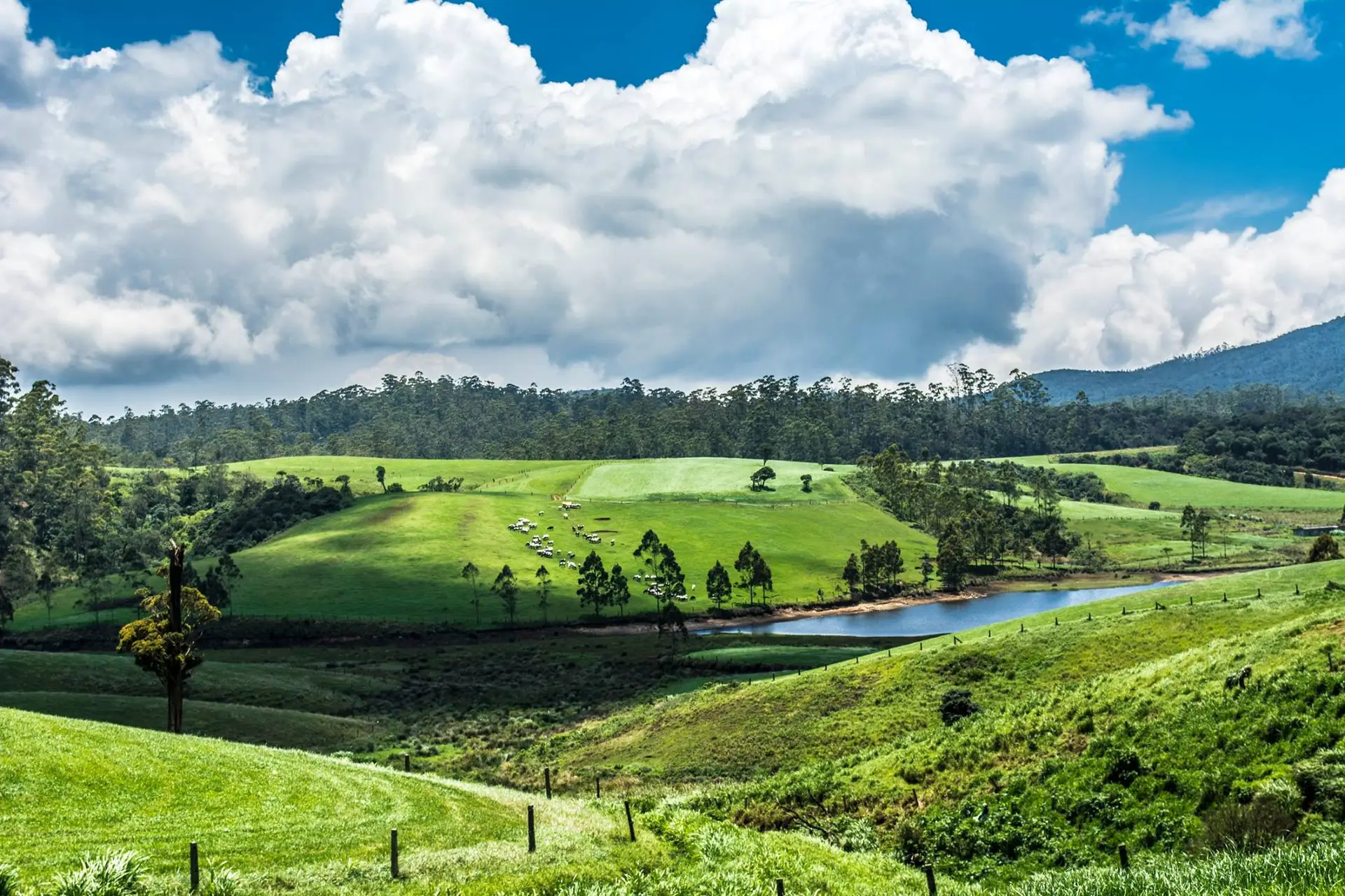 Swiftly Sri Lanka
